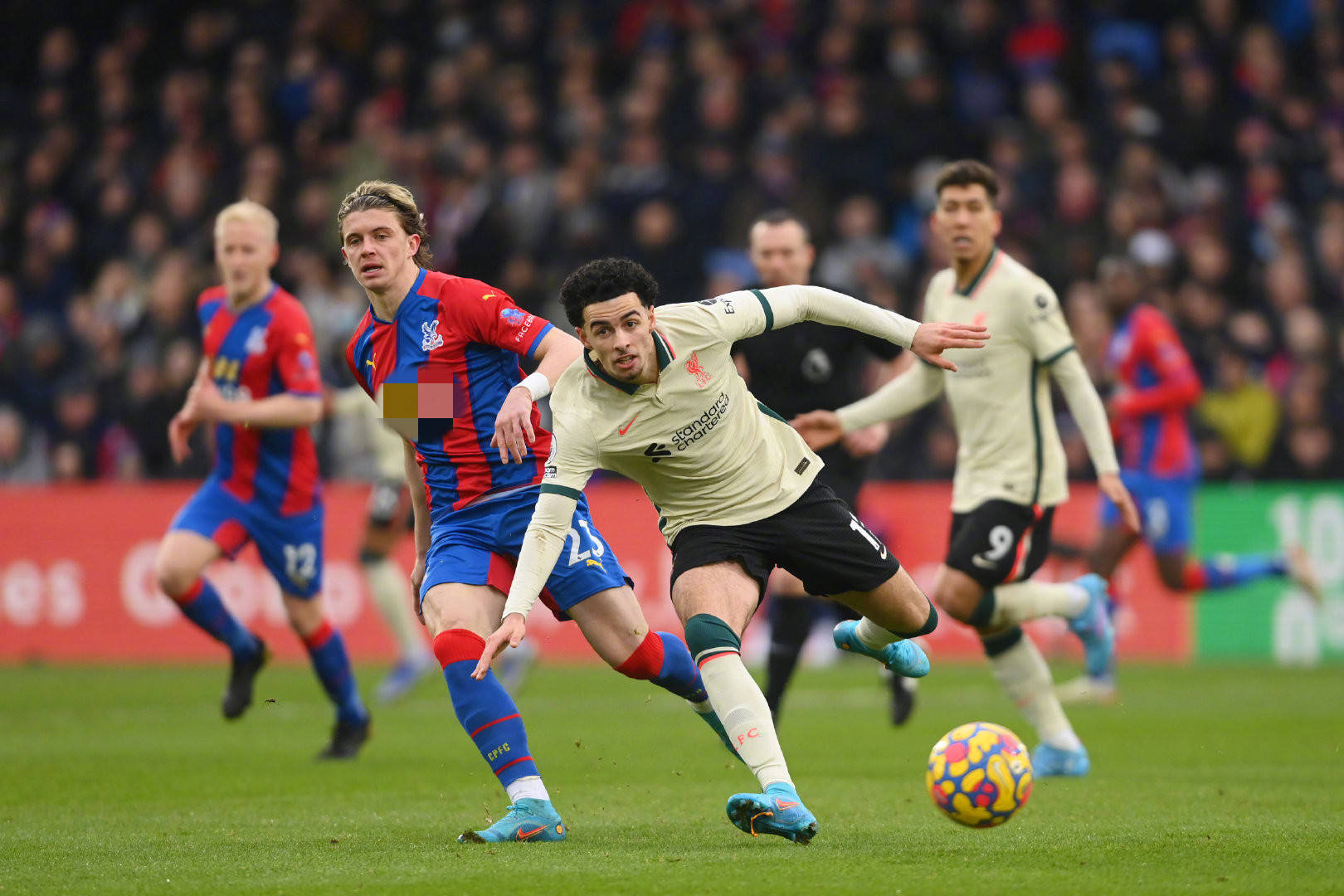 仅预示着这 仅预示着这